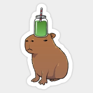 Capybara with a Green Smoothie on its head Sticker